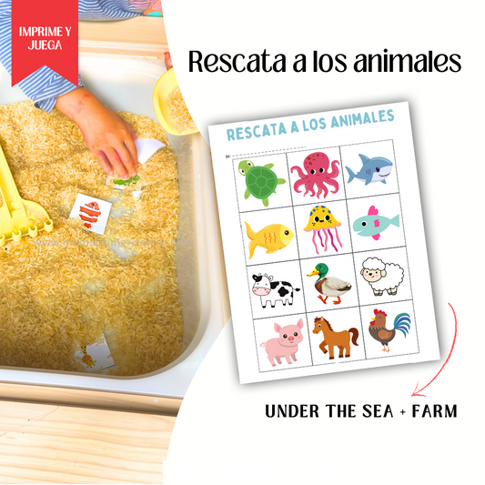 JUEGO SENSORIAL: RESCATA A LOS ANIMALES